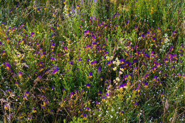 Similar image 22113741