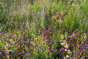 Similar image 22113742