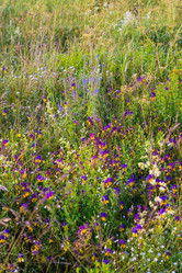 Similar image 22113743