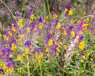 Similar image 22113744