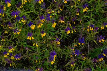 Similar image 22113745