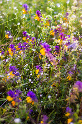 Similar image 22113747