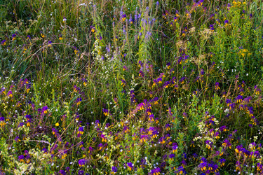 Similar image 22113748