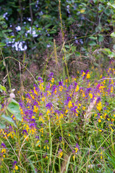 Similar image 22113749