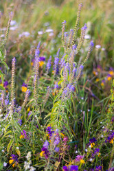 Similar image 22113750