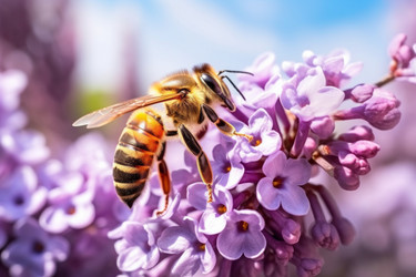 Similar image 22107878