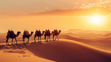 Similar image 22124694