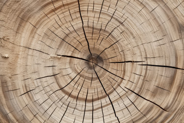 Similar image 22108726