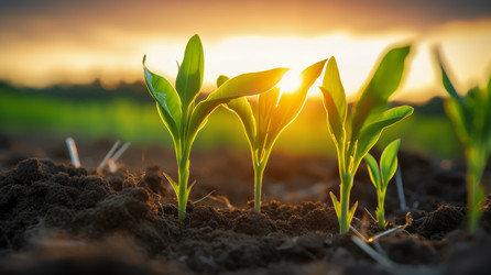 Similar image 22107886