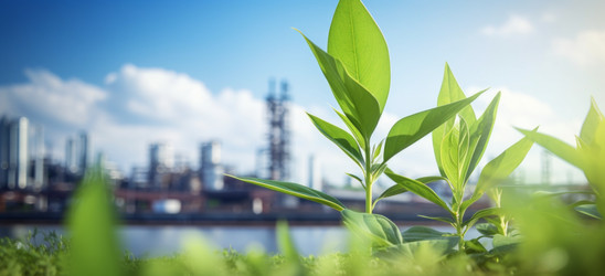 Similar image 22096839