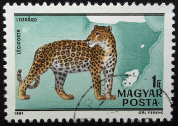 Similar image 22124784