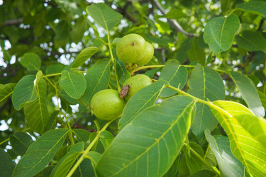 Similar image 22113874