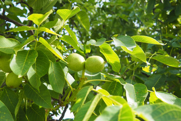 Similar image 22113914