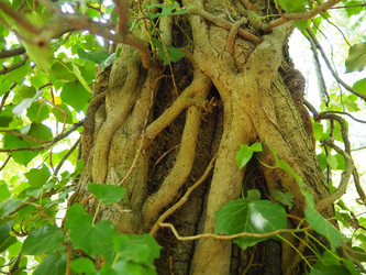 Similar image 22113915