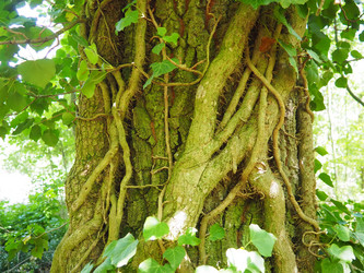 Similar image 22114233