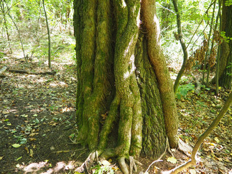 Similar image 22115287