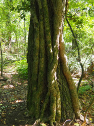 Similar image 22115288