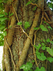 Similar image 22115290