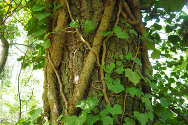 Similar image 22115291