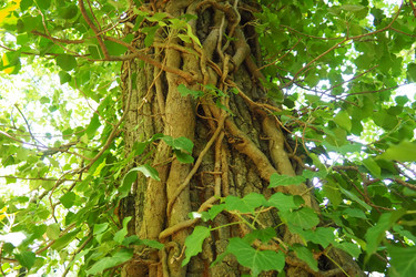 Similar image 22115824