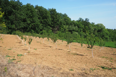 Similar image 22115966