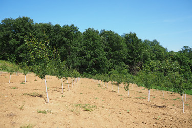 Similar image 22115968