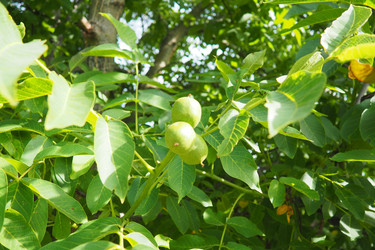 Similar image 22115969