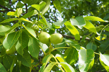 Similar image 22116422