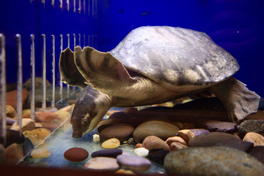 Similar image 22128329