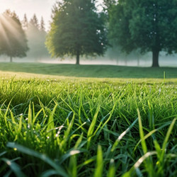 Similar image 22116426