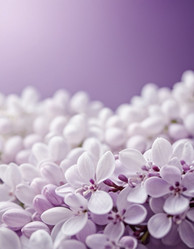 Similar image 22118651