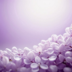 Similar image 22118897