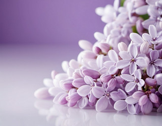 Similar image 22119133