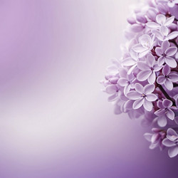 Similar image 22119134