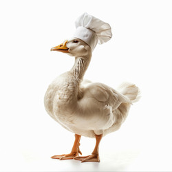 Similar image 22109286