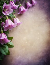 Similar image 22115835