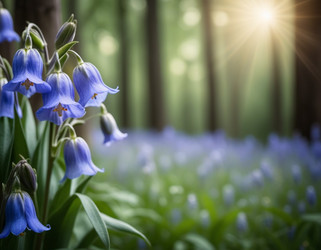 Similar image 22116443