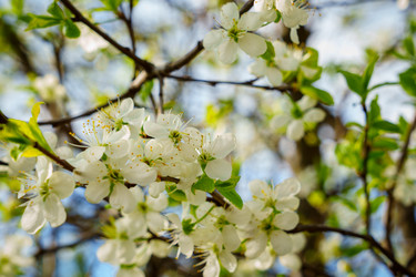 Similar image 22117933