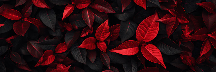 Similar image 22096889