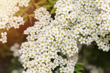 Similar image 22098338