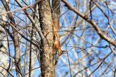 Similar image 22124977