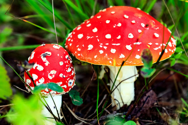 Similar image 22125618