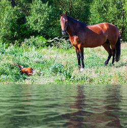 Similar image 22125562