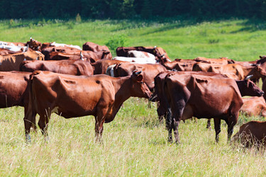 Similar image 22125248