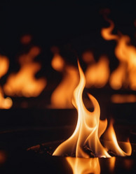 Similar image 22113882