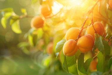 Similar image 22101352