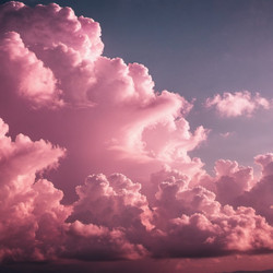 Similar image 22119181