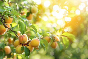 Similar image 22097333