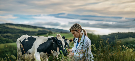 Similar image 22120955