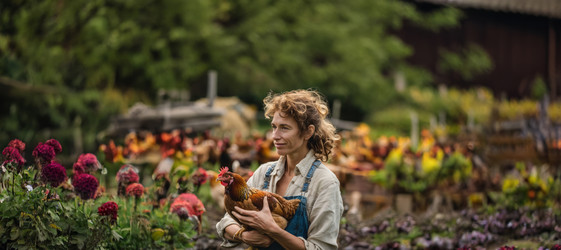 Similar image 22121140